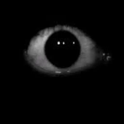 creator me pican los huevo's avatar
