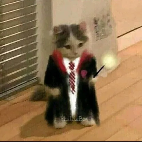 creator ረዐነፕ's avatar