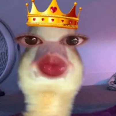 creator Ms. D4rk's avatar