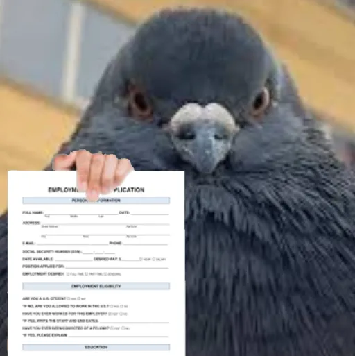 creator Pigeon!'s avatar