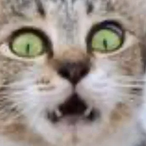 creator Yayayyyya's avatar