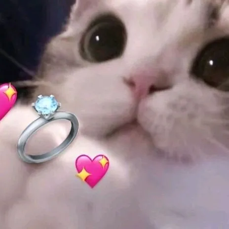 creator 4everbtsgirl⁷'s avatar