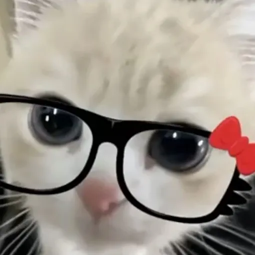 creator π’ π£πππ_ππππ πͺ's avatar
