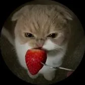 creator A d r i a n a :/'s avatar