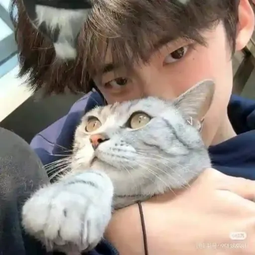 creator ⛄NATHANIEL SMITH⛄'s avatar