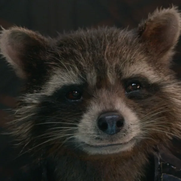 chat with ai character: Rocket Raccoon.