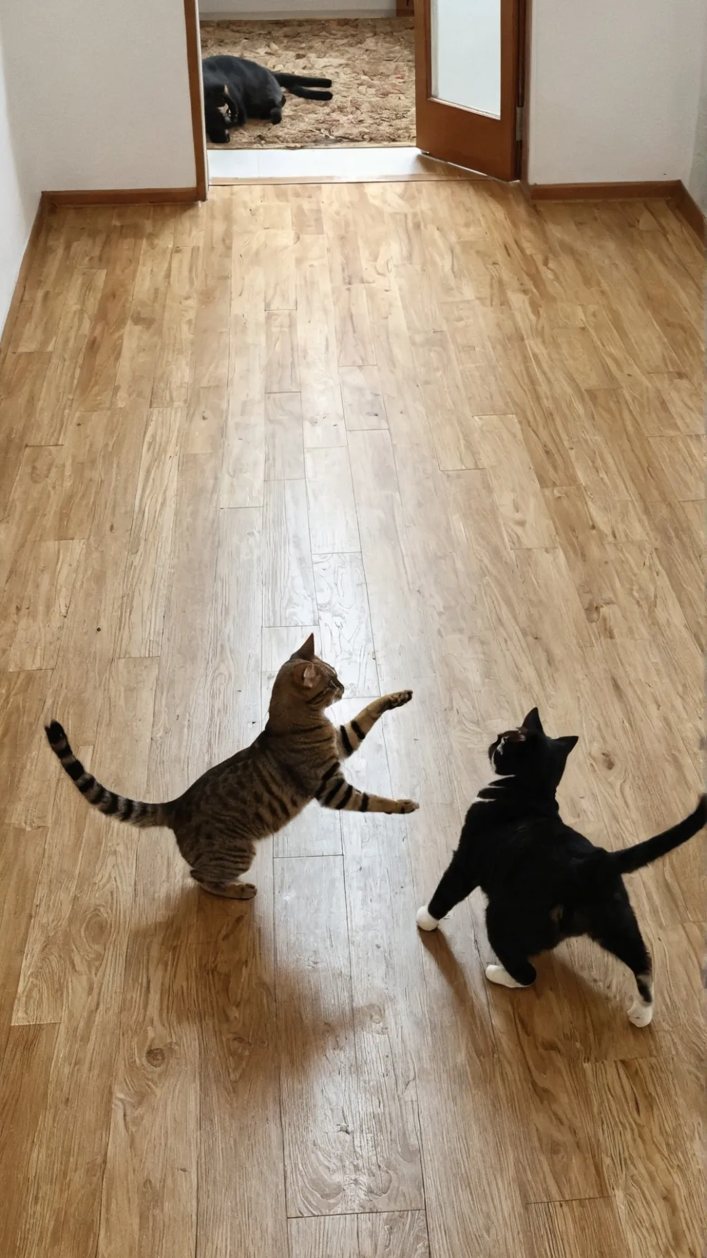 ai character: kittens background