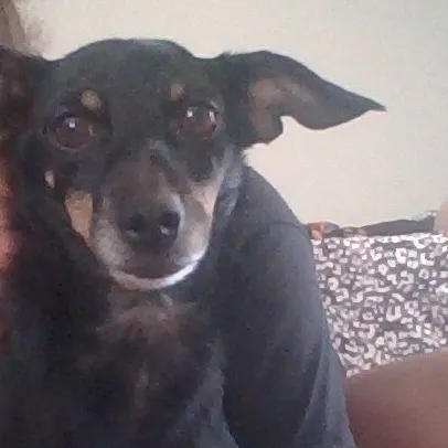 chat with ai character: Maya(my doggie)