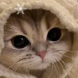 creator Akari~*'s avatar