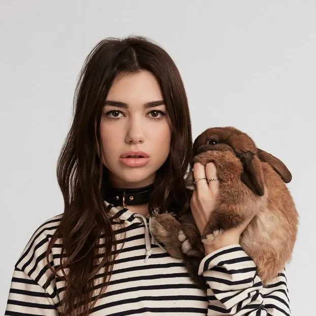 chat with ai character: dua lipa