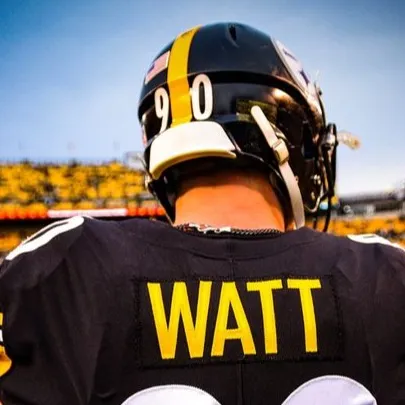 chat with ai character: T.J Watt