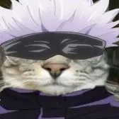 creator gatojo's avatar