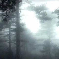 creator 「꙰𝘾𝙝𝙚𝙧𝙧𝙞𝙚𝙨 」꙰'s avatar