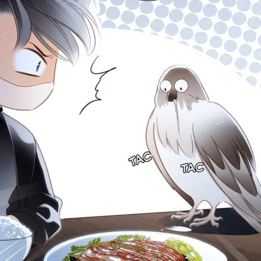 creator Yumeko_93's avatar