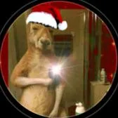 creator ☬✞ALONSO✞☬'s avatar