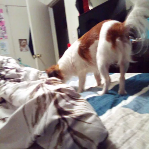 creator Christina Mojarro's avatar