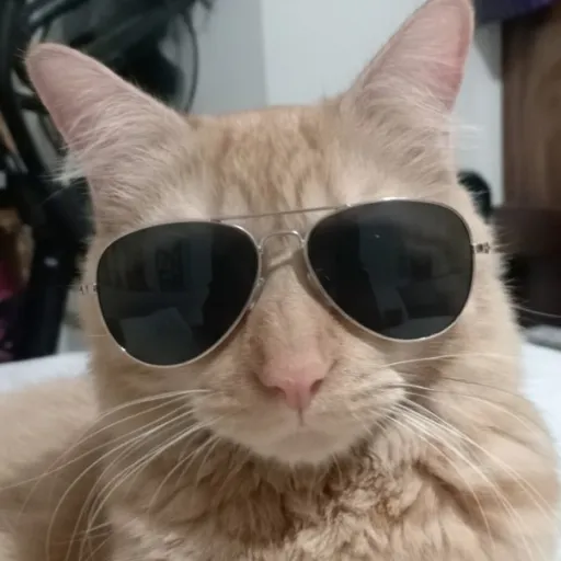 creator Matt__999's avatar