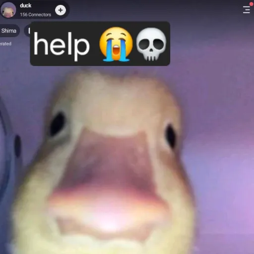 comment user avatar