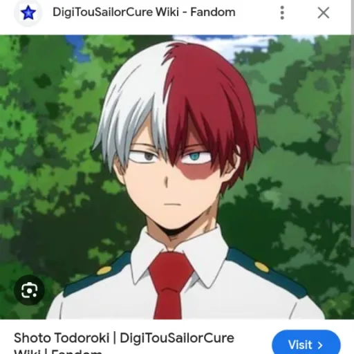 creator shoto Todoroki!!'s avatar