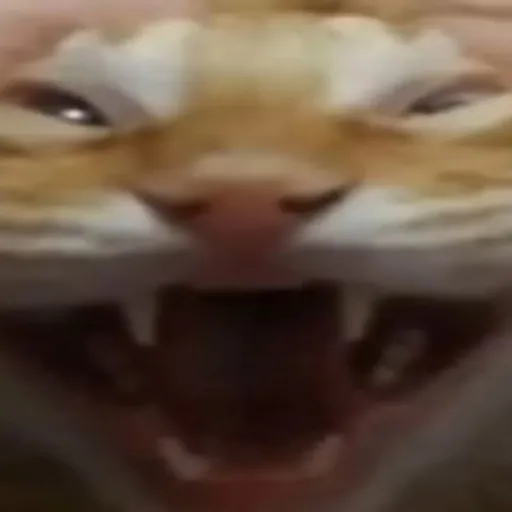 creator чирик_'s avatar