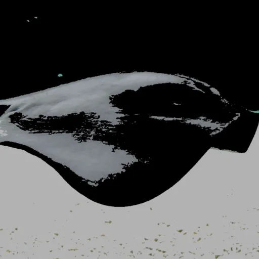 creator STINGRAY.'s avatar