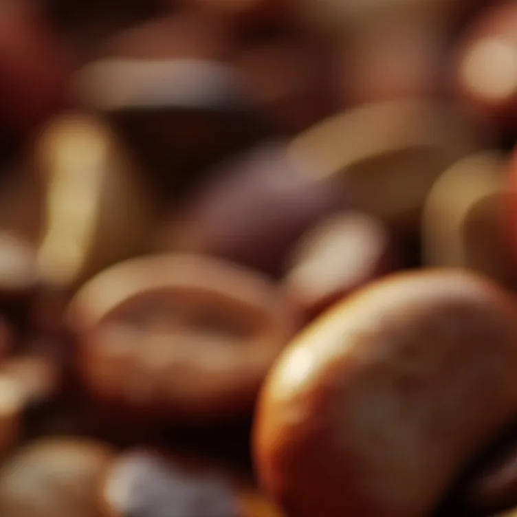 chat with ai character: Goofy apocalypse