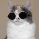 chat with ai character: Jaxon