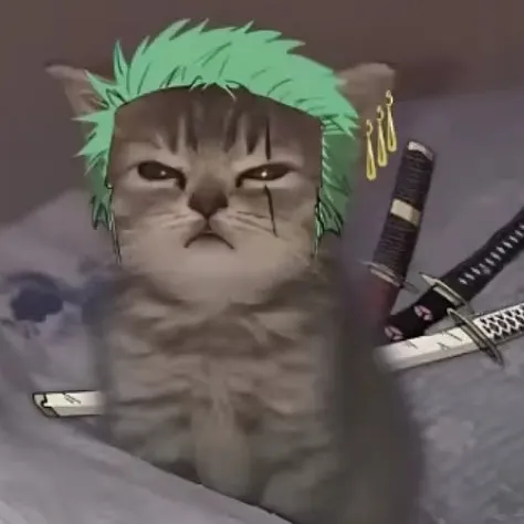 creator zoro_gatinho's avatar
