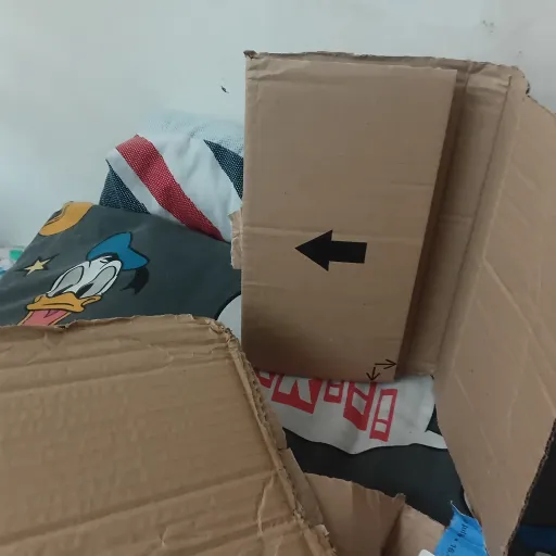 creator Landed Cardboard.'s avatar