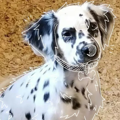 creator Therianoutlaw117🐾's avatar