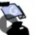 chat with ai character: Google translate!!