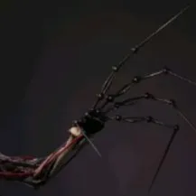 creator randomguy3628's avatar