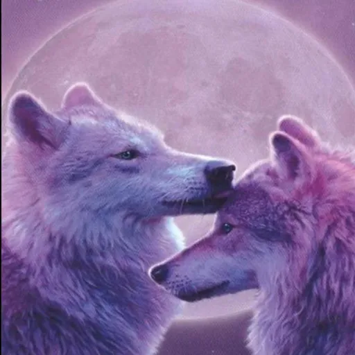 creator 🌑🤍외로운 늑대🐺🪽's avatar