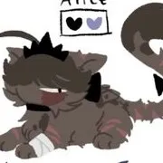 chat with ai character: Alice fpe {CAT}