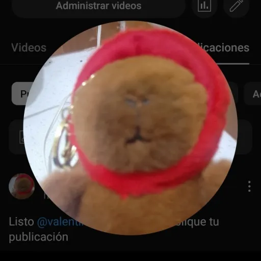 creator @capicountryballas's avatar