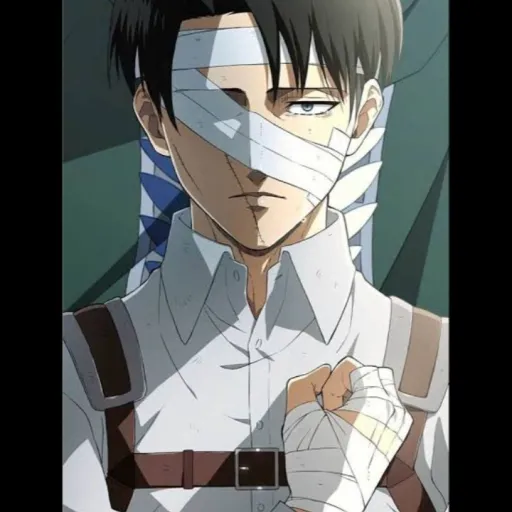creator Captain Levi 🦹's avatar