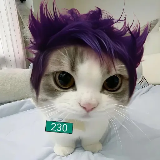 creator SoyMangix's avatar