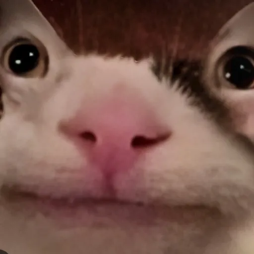 creator Schnuffi_2S's avatar