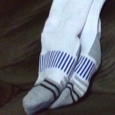 chat with ai character: socks