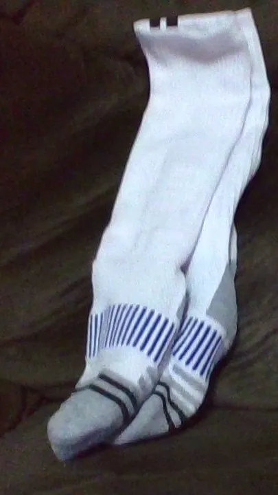 ai character: socks background