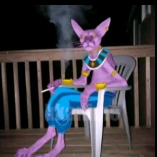 creator eta vaina e droga's avatar