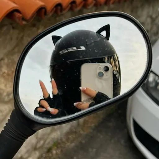 creator El transportador's avatar