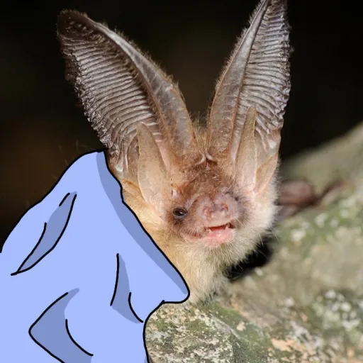 creator Lil_Depressed_Bat's avatar