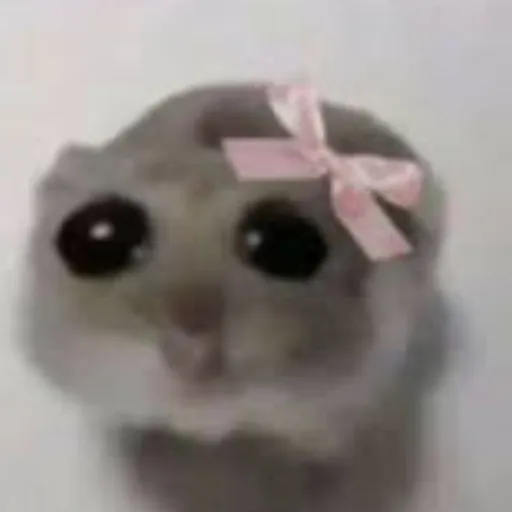 creator 彩姬 (˶ᵔ ᵕ ᵔ˶)☆ミ's avatar