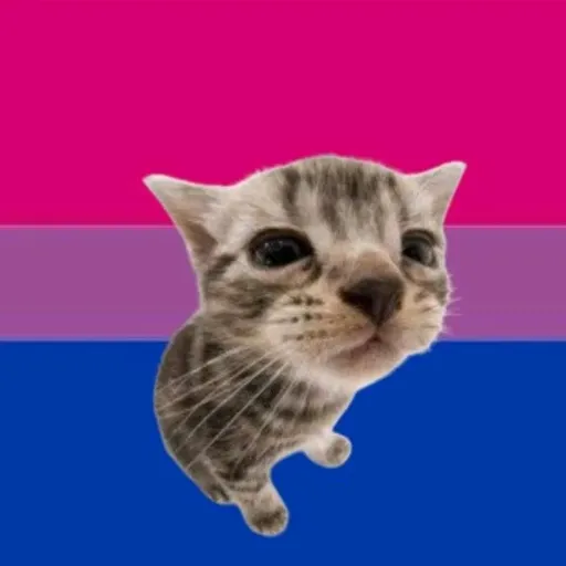 creator ✿✮luzz✮✿'s avatar