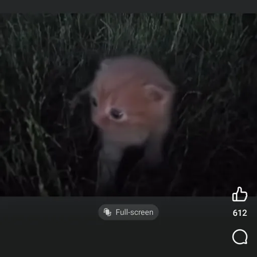 creator caryicutecat792's avatar