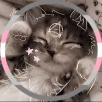 creator ._.~Demi-Girl~._.'s avatar