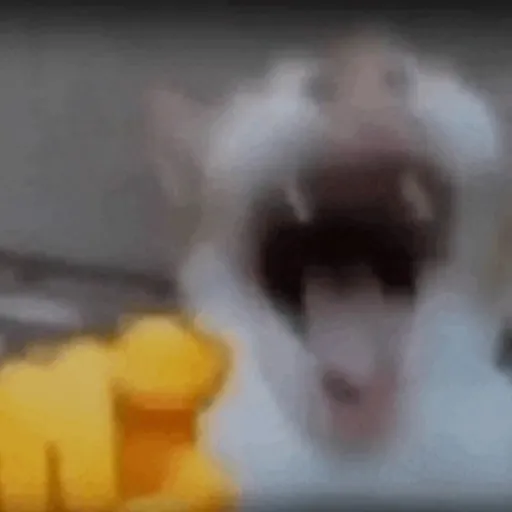 creator / whiskers \'s avatar
