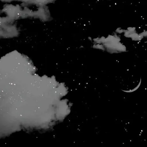 creator stra_moonlight🌃's avatar