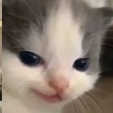 creator 𝑱𝒆𝒔𝒔𝒊𝒄𝒂𝑹𝒐𝒎𝒚𝒙2012's avatar